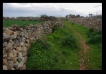 Dingli Cliffs -23-02-2015 - Bogdan Balaban